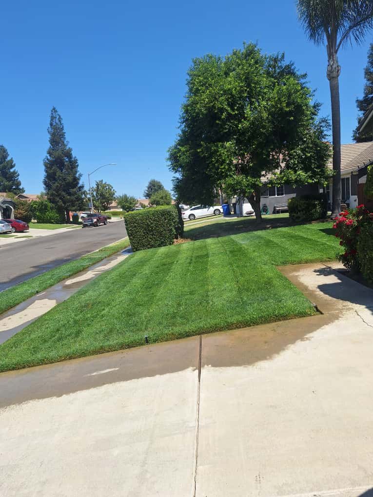 Concrete or landscape project photo #2 by Gonzales Concrete