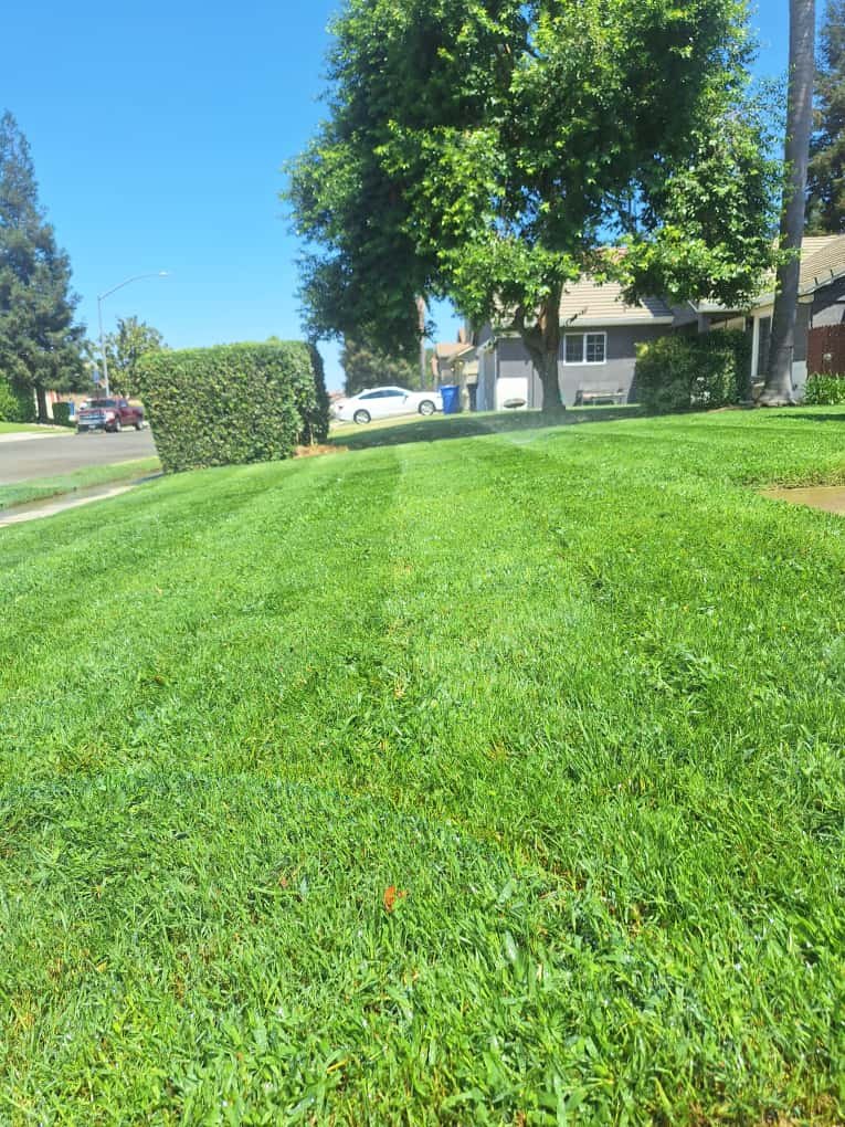 Concrete or landscape project photo #3 by Gonzales Concrete
